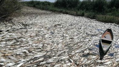 EC26C92A 484D 4E79 ABFA 942541B382CB