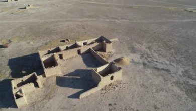 تدمير وكر لعصابات داعش والعثور على كدس للعتاد في محافظة الأنبار 4 FB IMG 1596453268704