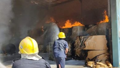 FB IMG 1596563379576