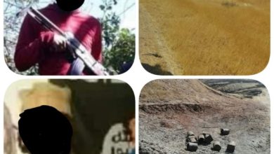 FB IMG 1596709732940