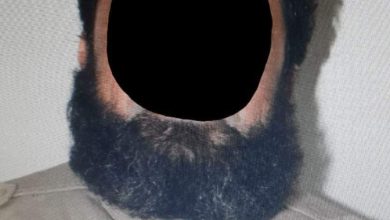 FB IMG 1598084205428