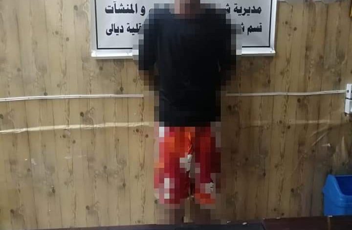 FB IMG 1598096468626