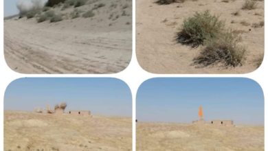 FB IMG 1598259887683