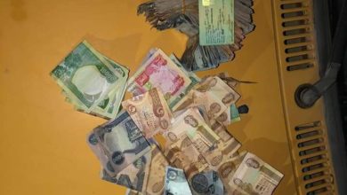 FB IMG 1598367826568