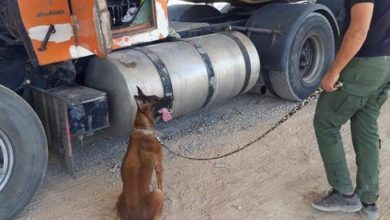 FB IMG 1598386937096