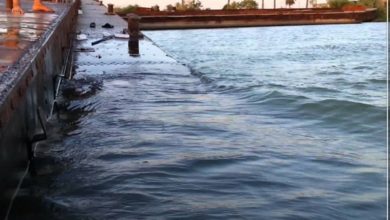 Screenshot ٢٠٢٠٠٨١٩ ١٧٥٦٤٤