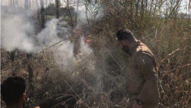 دعت لـ تغيير جوهري الأمن النيابية الخلايا النائمة تقف وراء هجمات ديالى 5 Screenshot ٢٠٢٠٠٨٢٩ ٠٩٥٧٣٤ Chrome