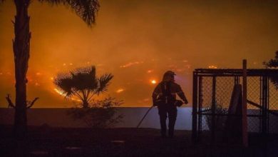 02CB6E40 B9AF 462C BB27 C2BC16B9C77A