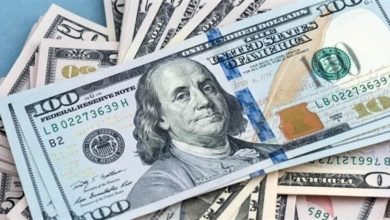 06537432 476B 4F50 A9C5 50588A844431