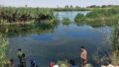 113092020 d4e8c015 62d3 4e87 a64f 798964fd8ed4