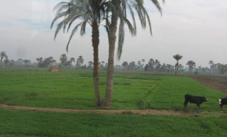 123092020 25263d75b7da48354dba590c31b84d8c