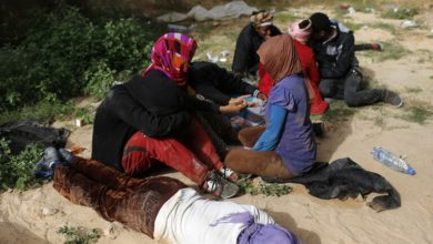 12BEFB5D A330 45E9 B12E 3EDD11F23F3F