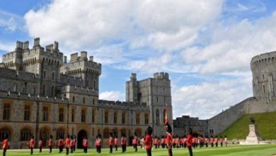 161637B4 D23F 4273 A8E0 C1A655E426E0