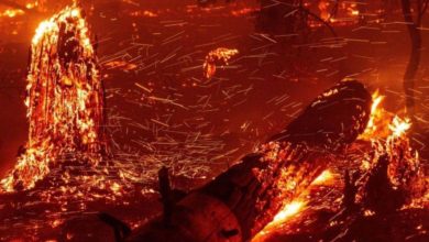 حرائق الغابات غير المسبوقة تلتهم بلدات أوريغون الأميركية 4 1634DA70 C3BD 4CA7 B6D4 0B198D22EEBE