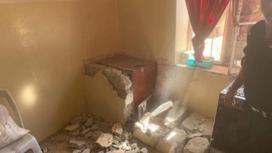 172192020 120029973 170451111323420 2408478149672264540 n