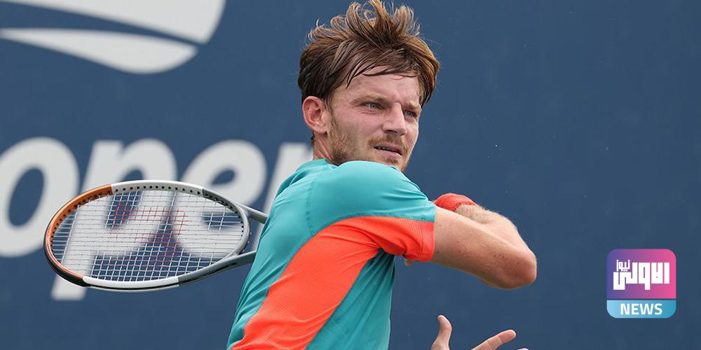 3405882 David Goffin