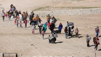 3D1C7E45 6C50 4579 AAFD 4EECDFA55D9B