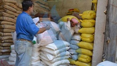 3EC29E4C 7A3A 4C57 BB96 A02881D5334F