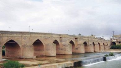 42B9AD79 E841 4019 9AA2 033AB8CAF13D