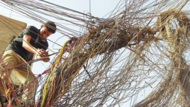 447953F9 1D11 45D3 A9D3 01272F9DD92D