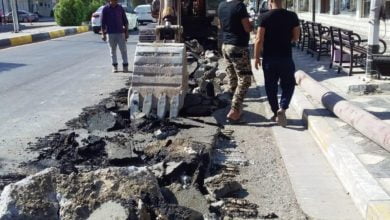 46D1D84A 68B7 41C8 A9B1 5B569A58DBCC