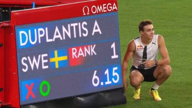 47043e42 fd2b 4c83 a226 cd0d7538ba66