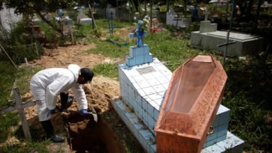 48503EFC 392D 4FC8 9E35 0CFD28EBAB65