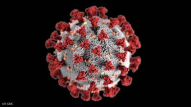 4A9C1F15 4E54 4808 899E 648479CC06D1