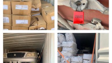 4E391D03 BD31 4430 AA78 0148994A6F3A