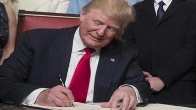 563DD383 DD9A 4BF6 8CF5 93253489D15C