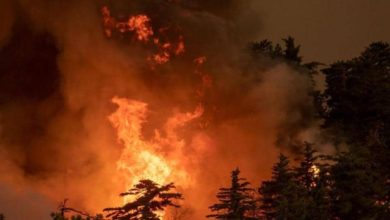 كاليفورنيا.. قتلى في الحرائق الأكثر دموية هذا العام 4 59CEE287 7D22 4673 A9B7 8CC0628E3DC8