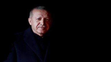 60 185801 erdogan turkey 700x400