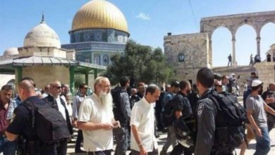 67F546C5 6538 4C73 83FE C41B59752A6D