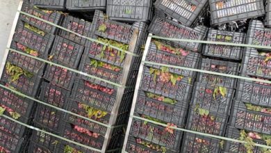 6AFD644D 112C 4EDC BA6E 1B27E459FACD