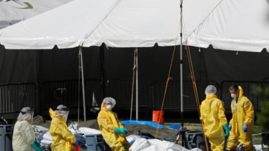 710FC2B6 9FE9 4456 B0E9 BF9EBD801565