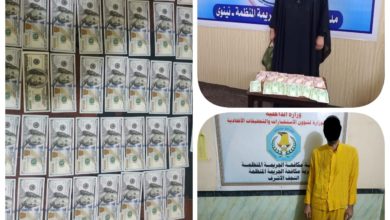 72392020 6b341e45 3fee 4a25 9782 72e9da153d4e