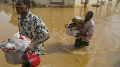 7830A749 1995 419A A7C0 DB499F66A482