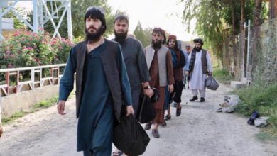 7D36699B AFFE 4BE0 A7E4 E2005ED2F23D