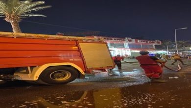 82E8D42C 102F 41ED B6D3 22DBC93297FE