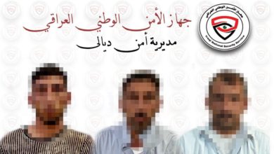 8AE65B5D 1103 41D4 8C4E 821DD56C5712