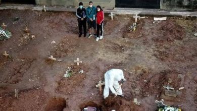 8BE3B5ED 525E 4AC5 8695 D35643B78469