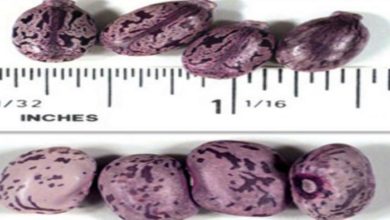 93D5283F 9CCE 4EF5 862E 64E93C8817E8