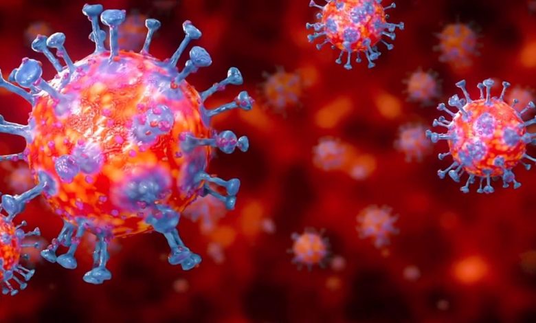 99FBC8DC 8F95 417C 89AE EB3544F28335