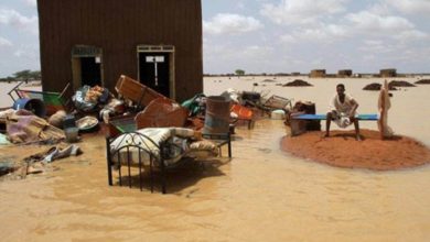 9F2ECE68 077D 462F A33D BD2AC61D5BBD