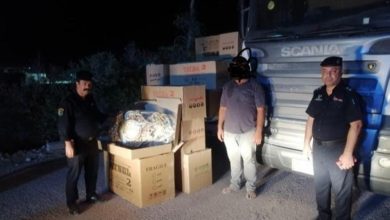 B8334632 0594 440A A5E8 BAB1F2D8581B