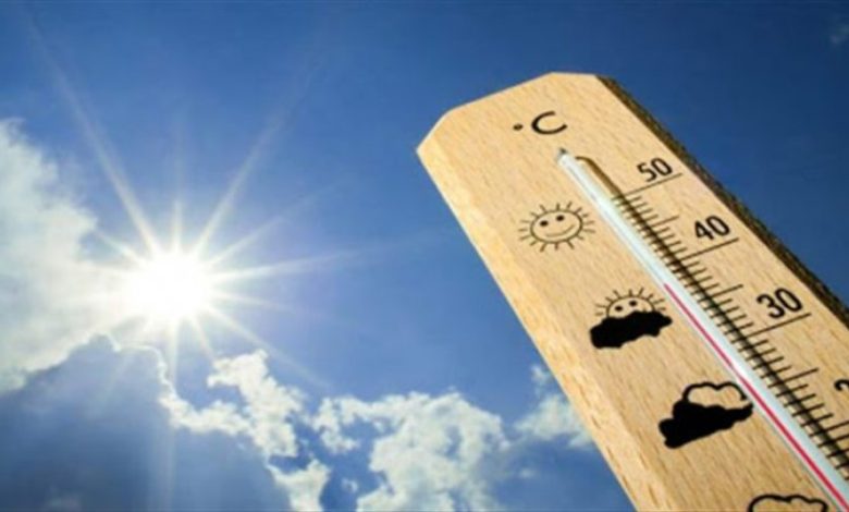 BDF87DEA CA07 4EBE 8037 B82CEA189B24