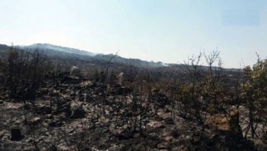 C6DAE850 45E5 4AB8 9812 8338F8315C70