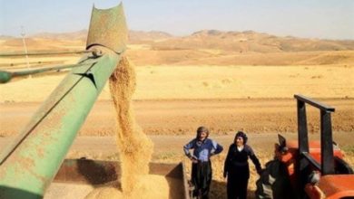 D49590A2 D279 4001 8553 4D4E4C5E1405