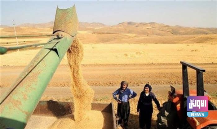 غدا.. توزيع مستحقات فلاحي كردستان 1 D49590A2 D279 4001 8553 4D4E4C5E1405