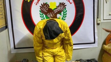 D8F093E7 A4BF 428D 8C34 AA4D1D75F663